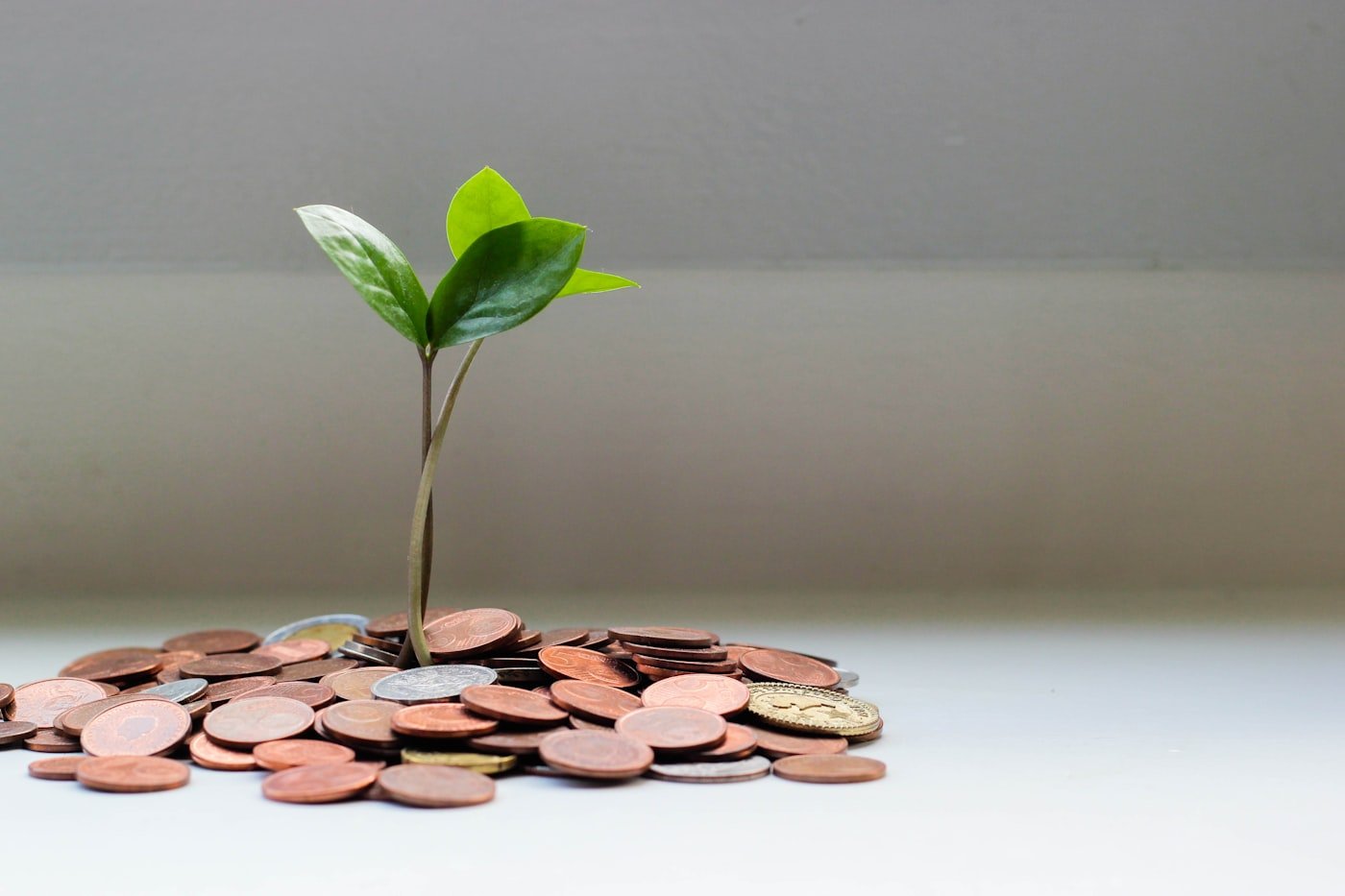 Financial growth chart representing smart investment and wealth planning